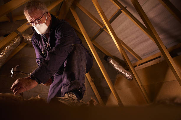Best DIY Insulation Kits and Guidance in Salem Heights, OH